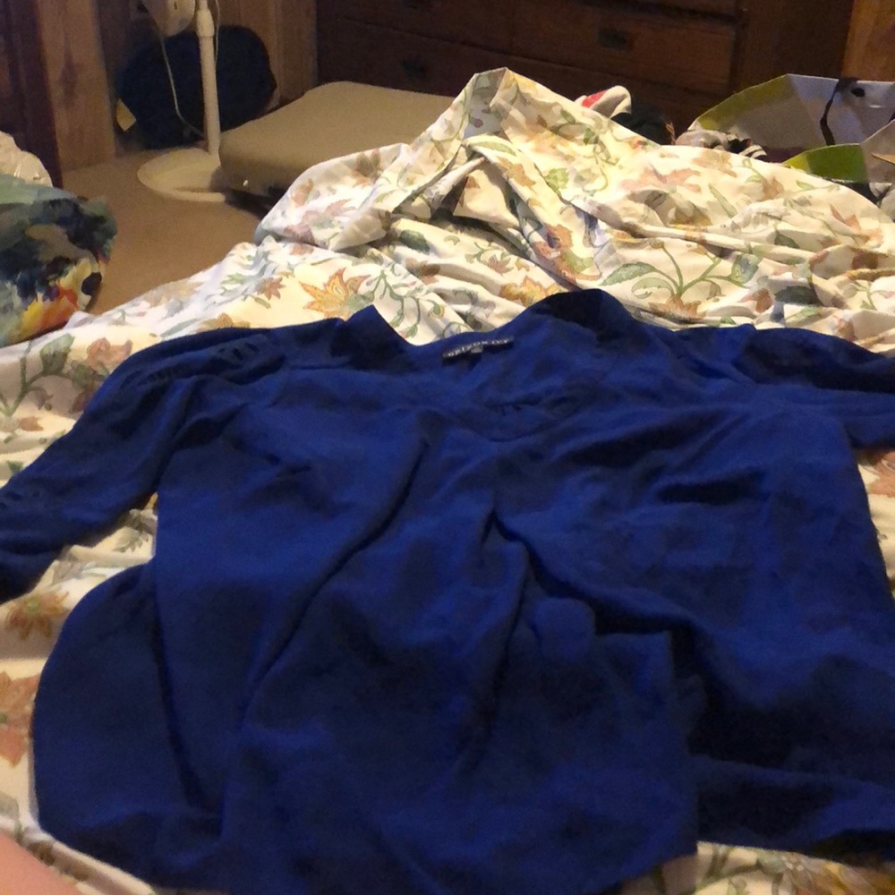 Brixon ivy blouse 2x